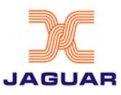 Лапка для вшивания тесьми с жемчуга к оверлокам JAGUAR